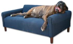 modern_dog_bed_sofa_xxl.jpg